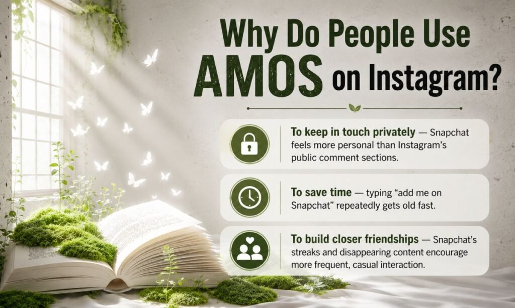 Why Do People Use AMOS on Instagram